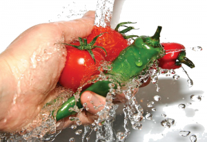 washing veggies